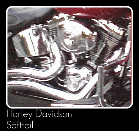 Harley Davidson Softtail Engine